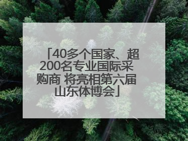 40多个国家、超200名专业国际采购商 将亮相第六届山东体博会